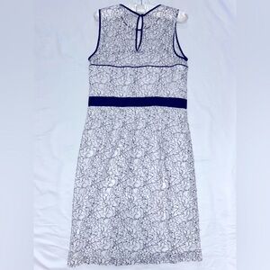 Banana Republic navy and white lace dress.